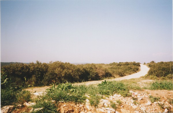 2005nimes020