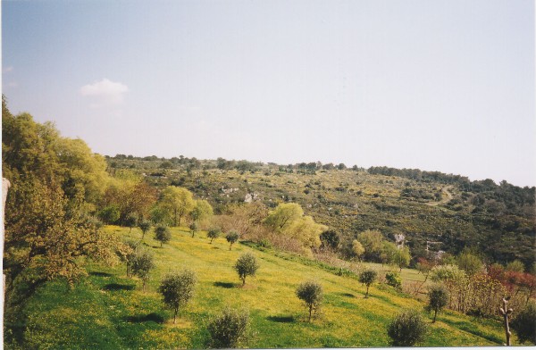 2005nimes031