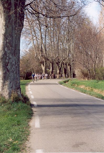 2005nimes053