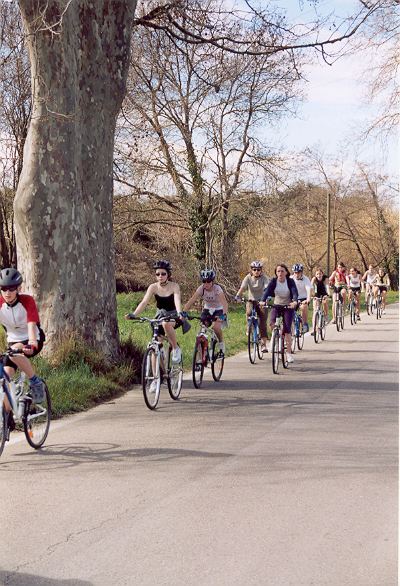 2005nimes056