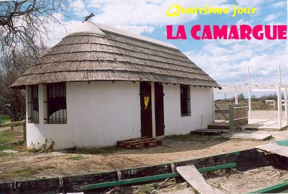 2005nimes062