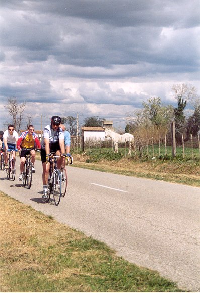 2005nimes101