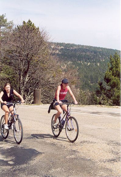 2005nimes219
