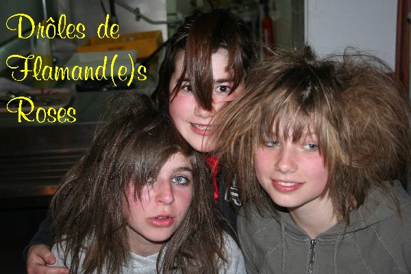 2008nimes194