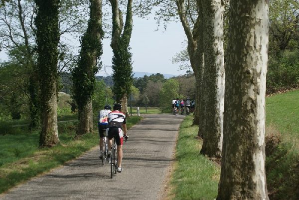 2011carcassonne145