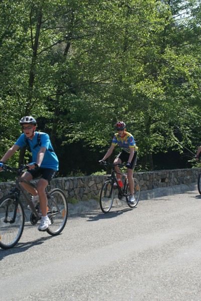 2011carcassonne269
