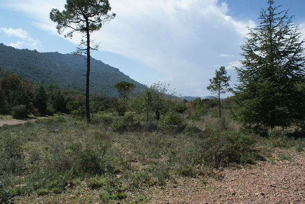 2012frejus306