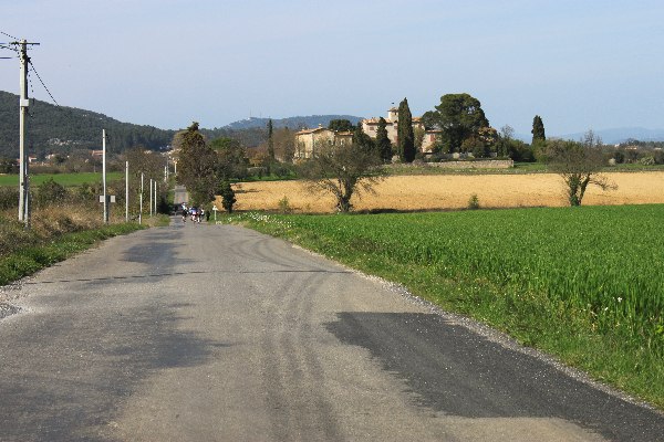 2013lapanne610