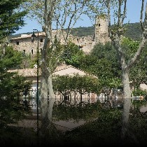 2011carcassonne175
